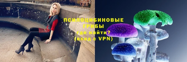 альфа пвп Каменка