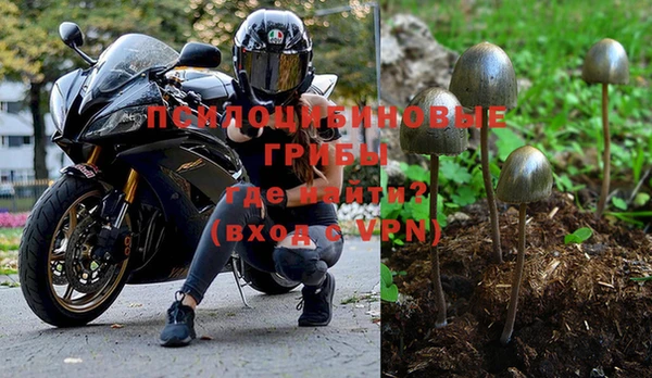 эйфоретик Инсар